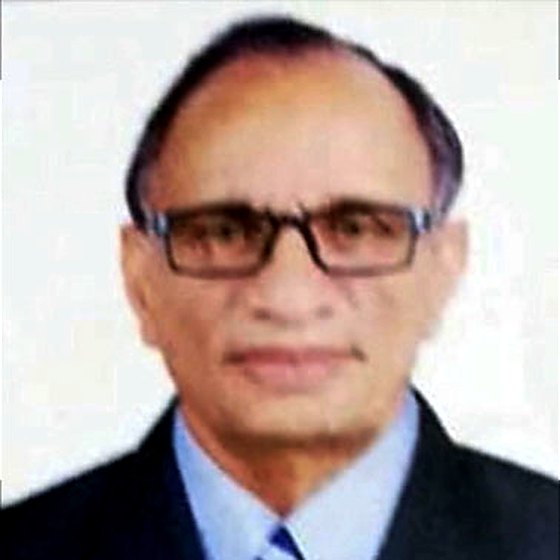 Shri Damodar Prasad Somani